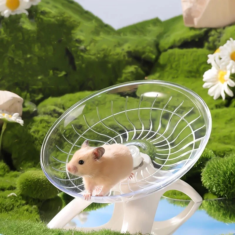 Hamster Cage Wheel - 小型ペット用サイレントランニング練習用ホイール ハムスター、マウス、ハリネズミ、オウムに最適 小動物用の静かで安全な選択肢