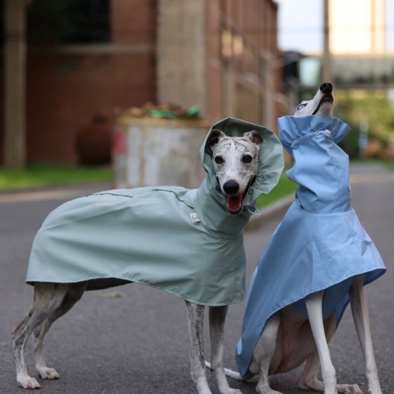 Dog Raincoat - イタリアン・グレイハウンド・ウィペット用無地レインコート 春夏用 軽量 ウエスト調整可能 防風ペット用ジャケット