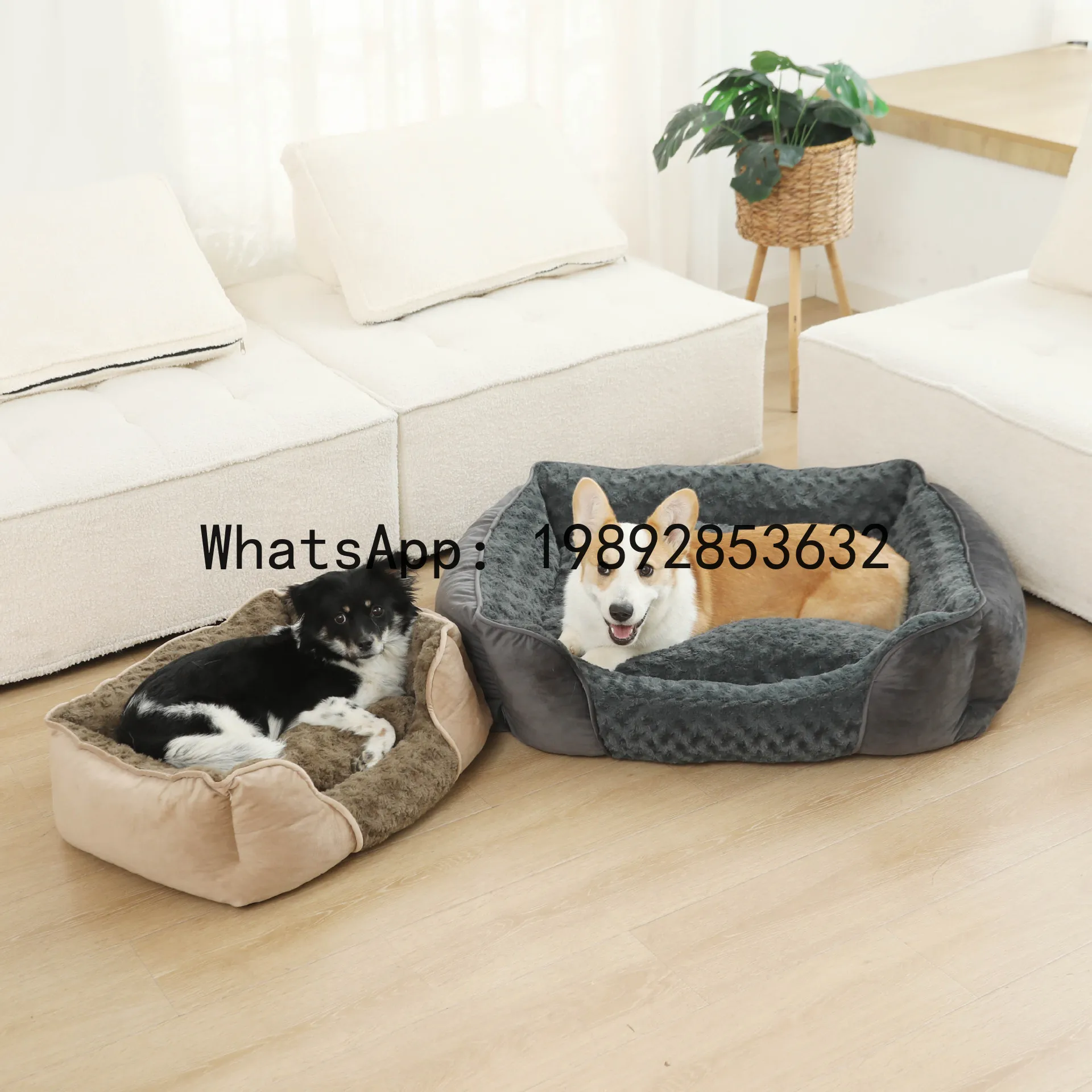Pet X Supplies & Tack - Xキャットハウス半密閉型犬小屋オールシーズンペット用品