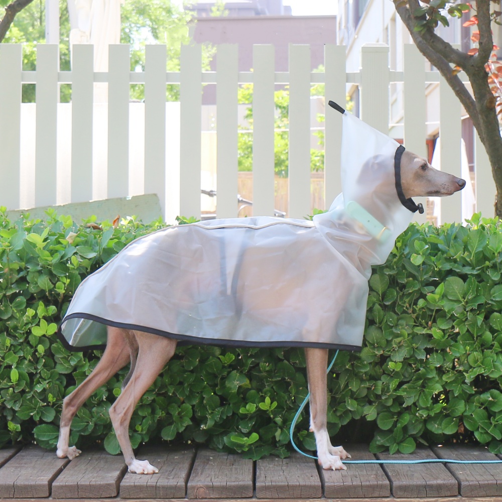 Dog Raincoat - 防水防雨防風腹部固定ケープイタリアングレーハウンド用透明軽量フード付きレインコート夏春