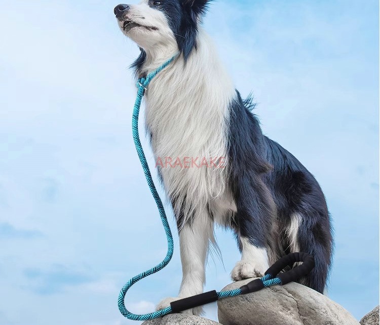Pet Supplies Young - Pロープ防爆犬用トレーニングロープ、小型犬、中型犬、大型犬用ペットカラー