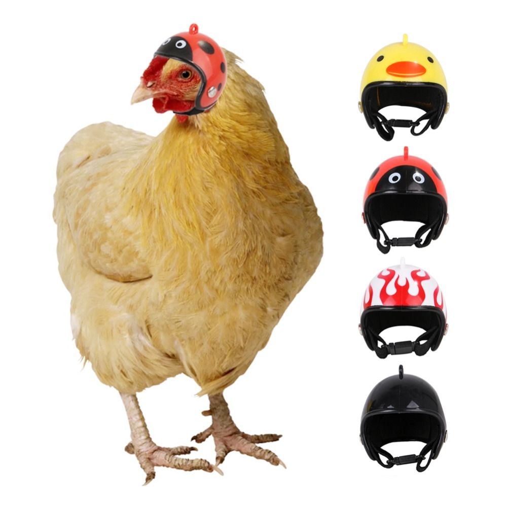 Pet X Supplies & Tack - ABSペット用品 面白いペット用保護ヘッドギア 鳥用保護キャップ 日よけ雨よけ帽子 鶏用ヘルメット