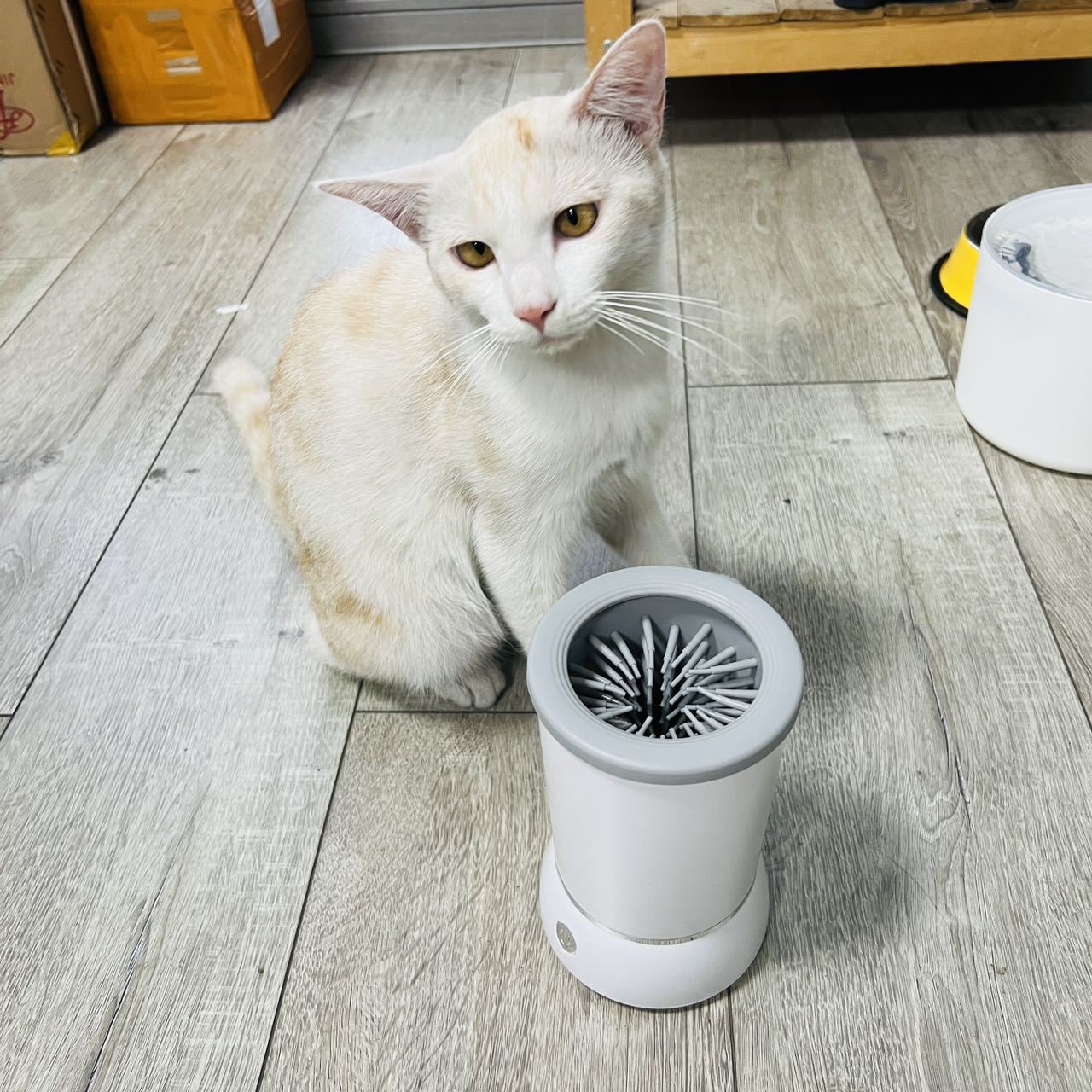 Dog Paw Cleaner - 自動ペット足洗いカップ、スマート犬猫足洗い機、ペット用ポータブル洗浄ツール
