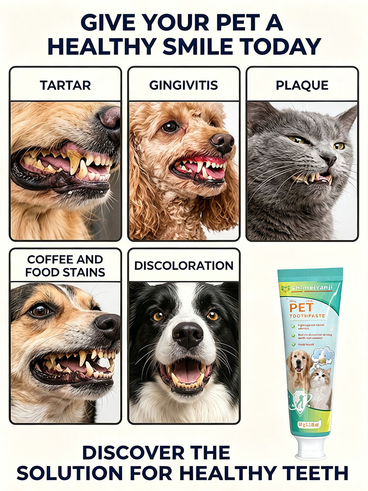 POZOAMIS ペット用歯磨き粉 犬猫用 深層歯磨き 歯垢 - Pet Supplies Young のレビューと価格