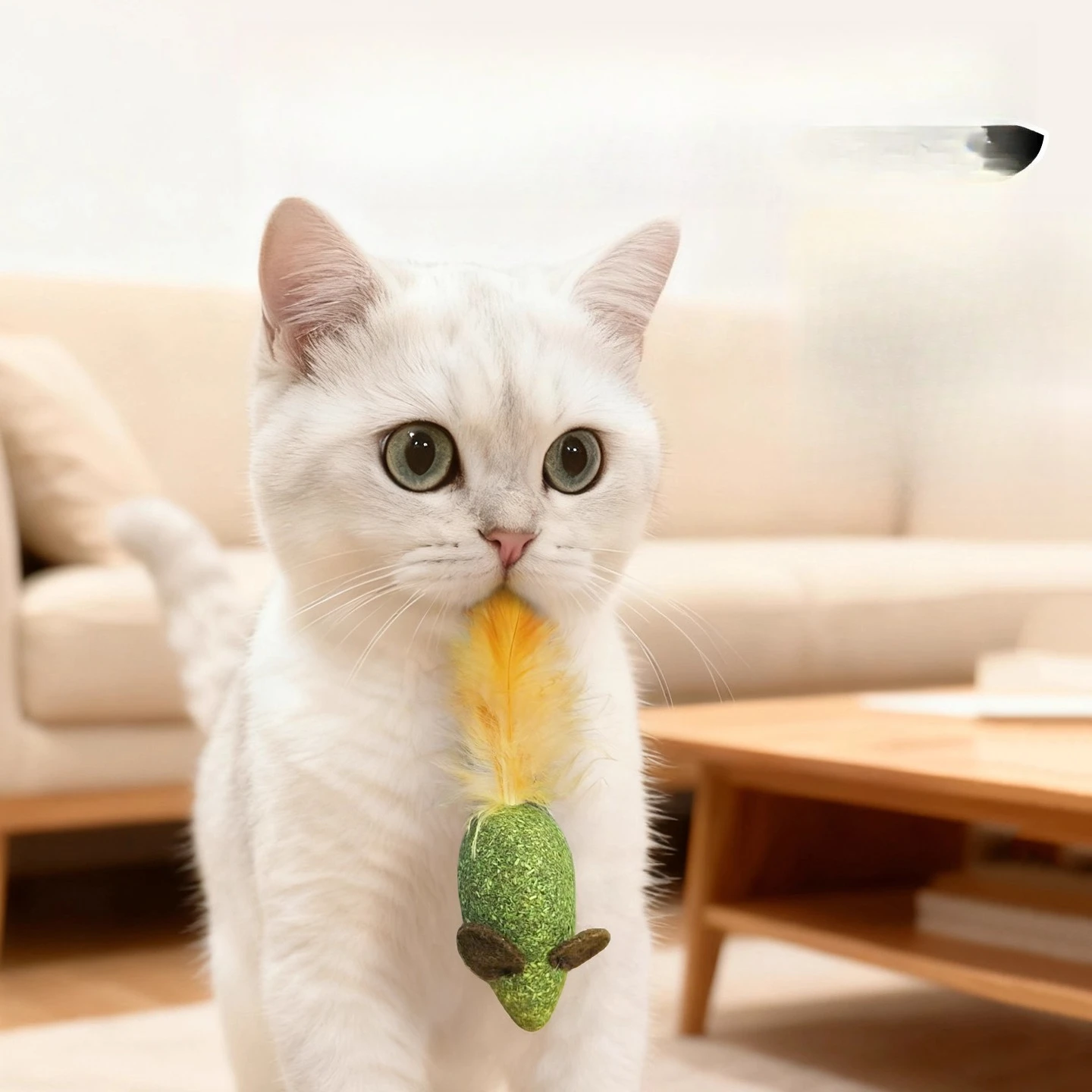おもちゃセット インタラクティブなティーザーロッド 自主的な - Pet Supplies Young のレビューと価格