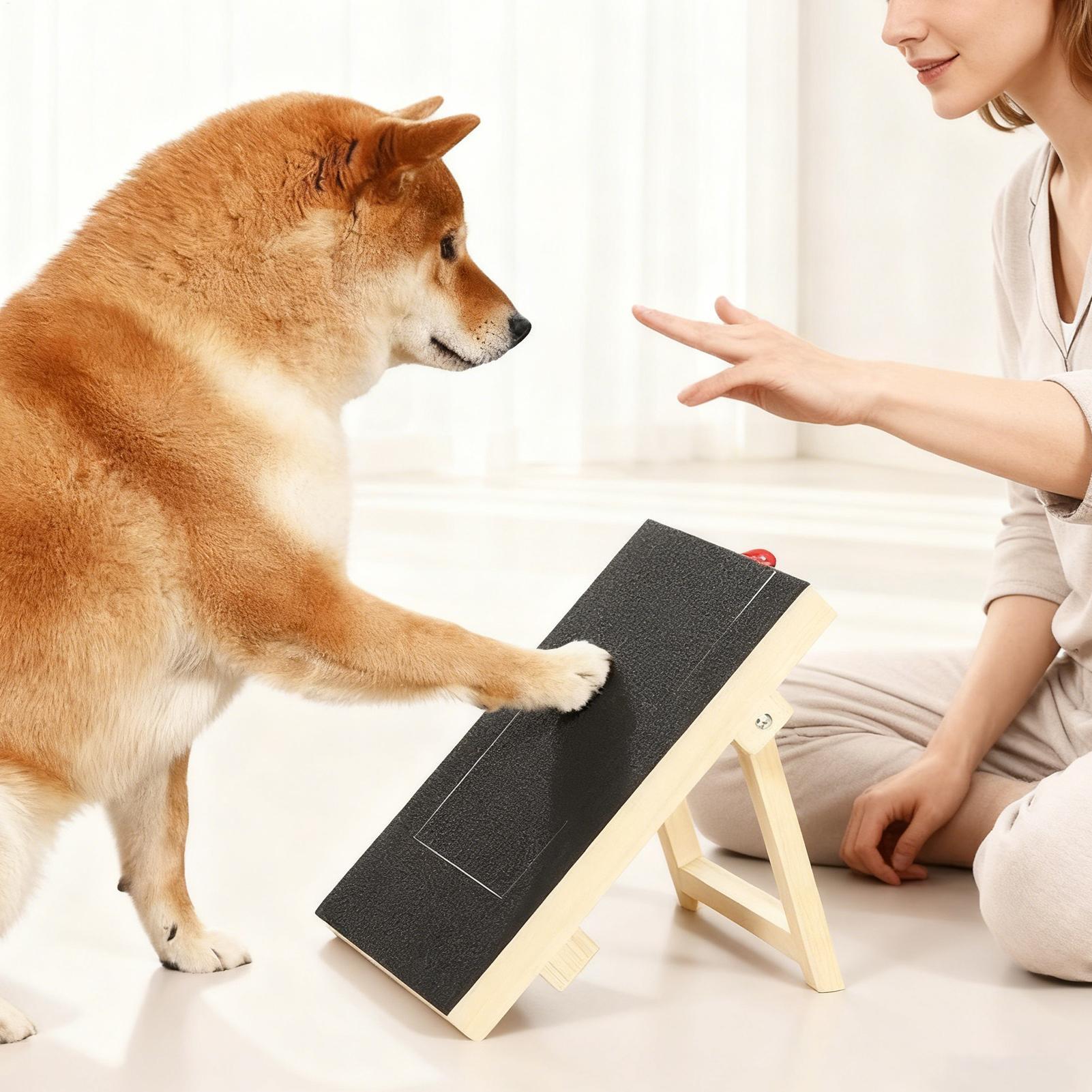 犬用爪やすりボード 引き出し式スナックボックス付き 木製サン - Pet Nail Grinder のレビューと価格