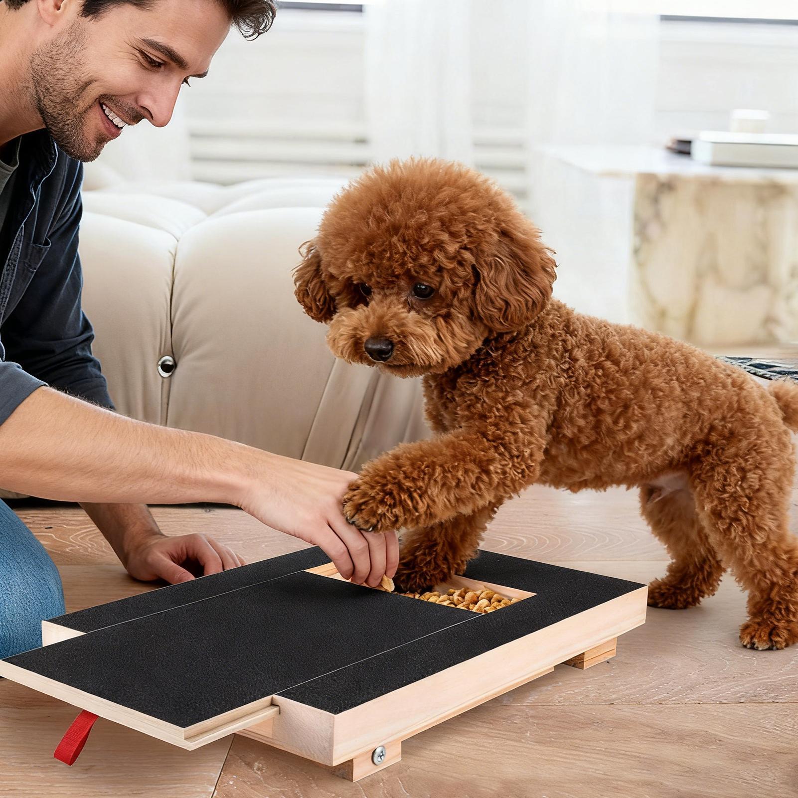 犬用爪やすりボード 引き出し式スナックボックス付き 木製サン - Pet Nail Grinder のレビューと価格