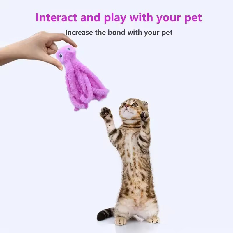 子猫や若い猫用のかわいいタコ猫のおもちゃ、噛む猫のおもちゃ、 - Pet Supplies Young のレビューと価格