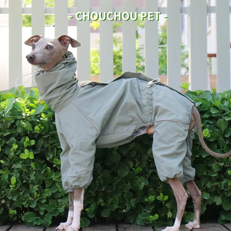 イタリアングレイハウンドレインコート秋冬用屋外ペットジャケッ - Dog Raincoat のレビューと価格