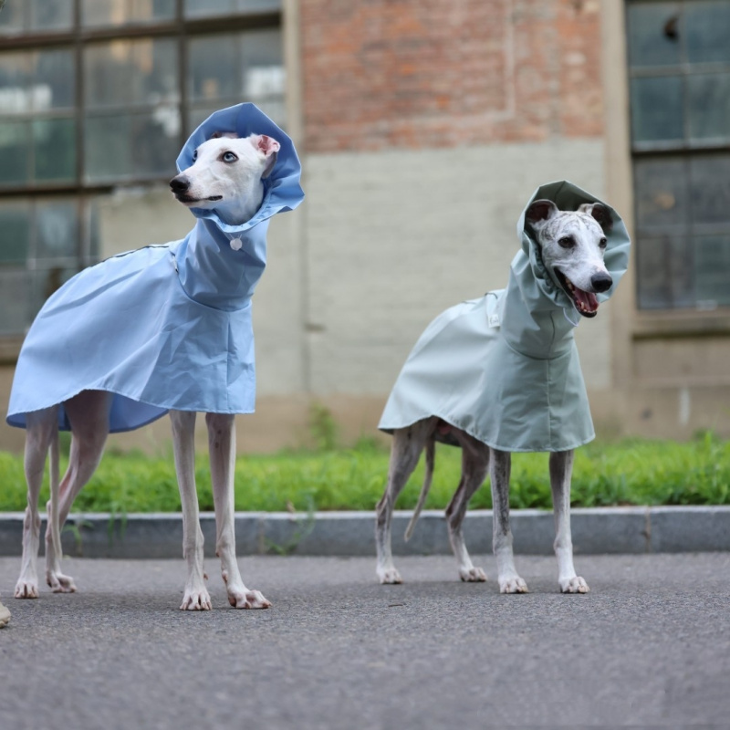 イタリアン・グレイハウンド・ウィペット用無地レインコート 春 - Dog Raincoat のレビューと価格