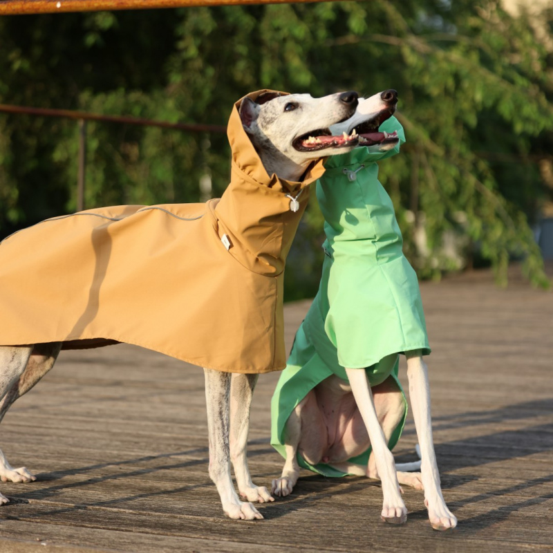 イタリアン・グレイハウンド・ウィペット用無地レインコート 春 - Dog Raincoat のレビューと価格