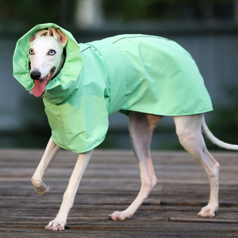 イタリアン・グレイハウンド・ウィペット用無地レインコート 春 - Dog Raincoat のレビューと価格