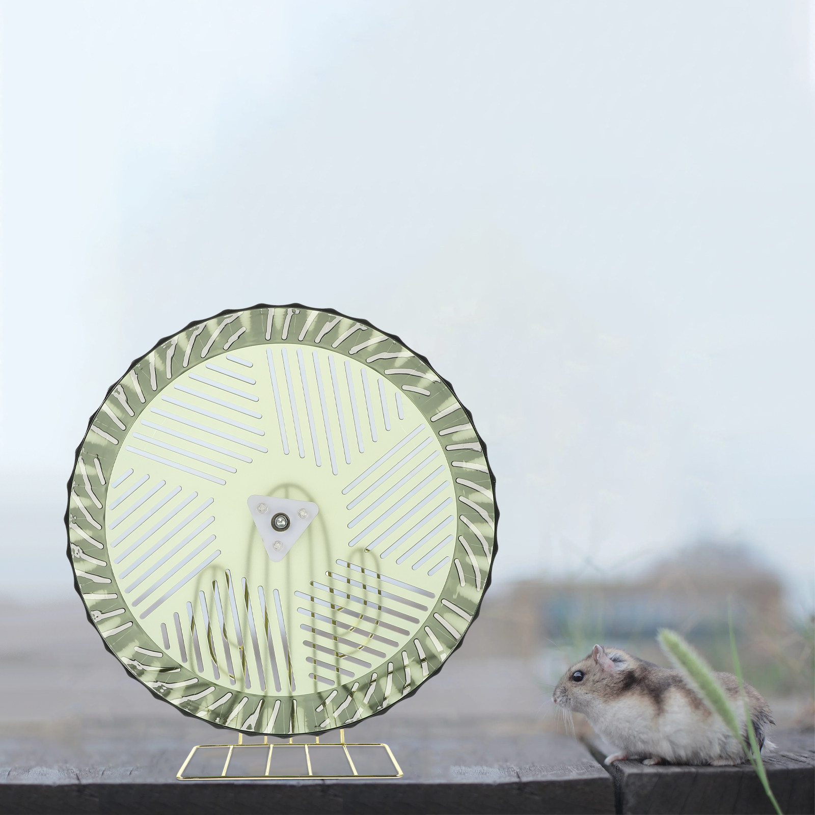 健康な成長のためのハムスターホイール、ハリネズミ、チンチラ、 - Hamster Cage Wheel のレビューと価格