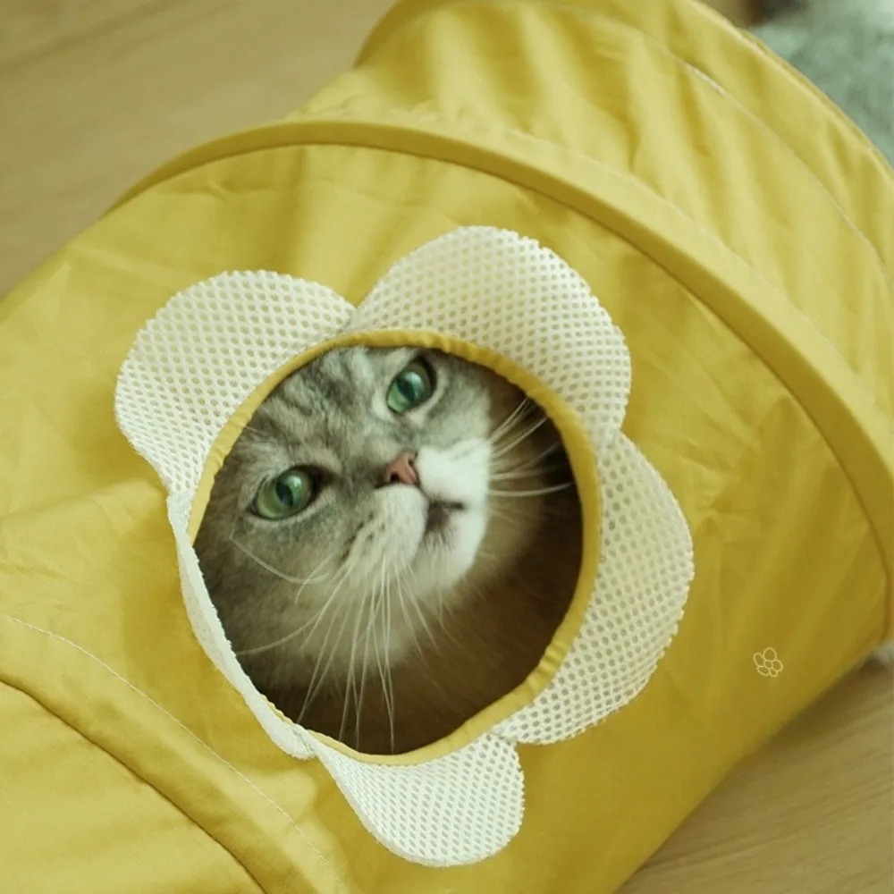 ポータブル折りたたみ式スパイラルトンネル猫用トイレ子猫通路収 - Pet Supplies In Store のレビューと価格