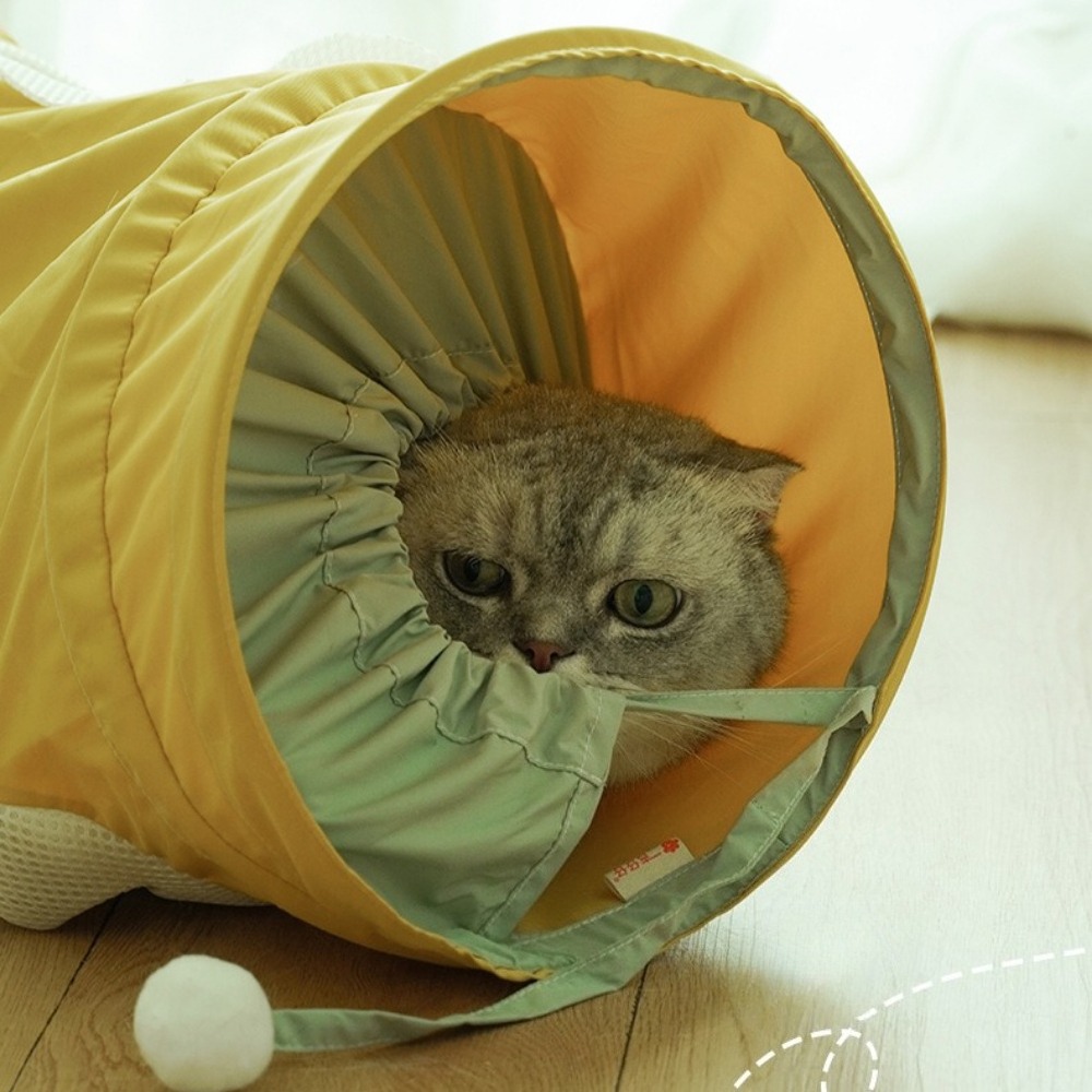 ポータブル折りたたみ式スパイラルトンネル猫用トイレ子猫通路収 - Pet Supplies In Store のレビューと価格
