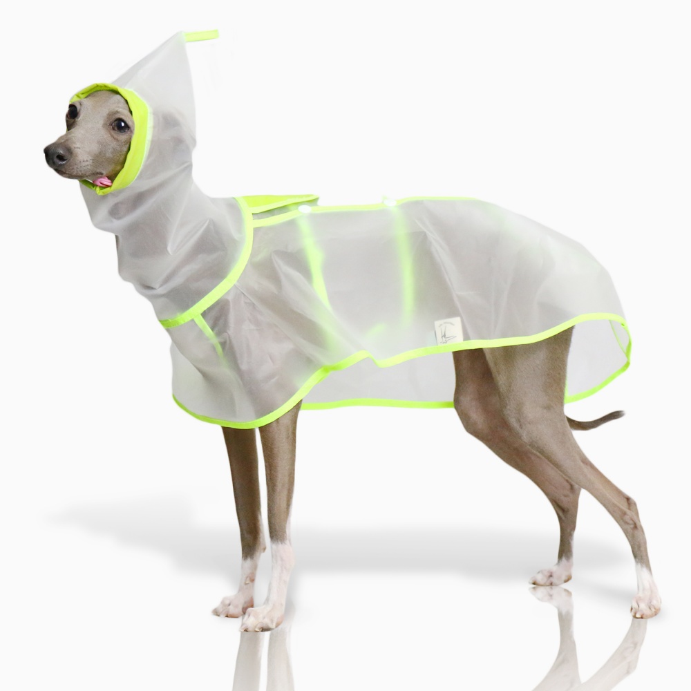 防水防雨防風腹部固定ケープイタリアングレーハウンド用透明軽量 - Dog Raincoat のレビューと価格