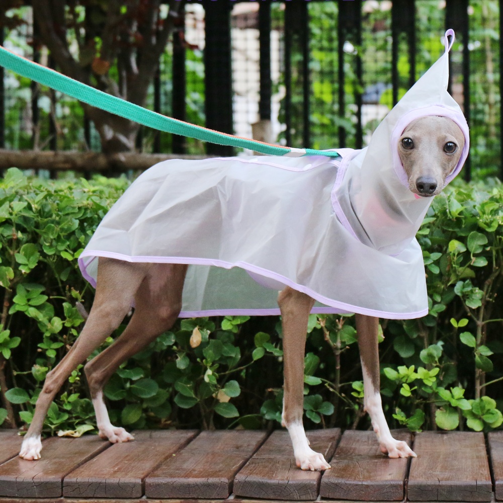 防水防雨防風腹部固定ケープイタリアングレーハウンド用透明軽量 - Dog Raincoat のレビューと価格