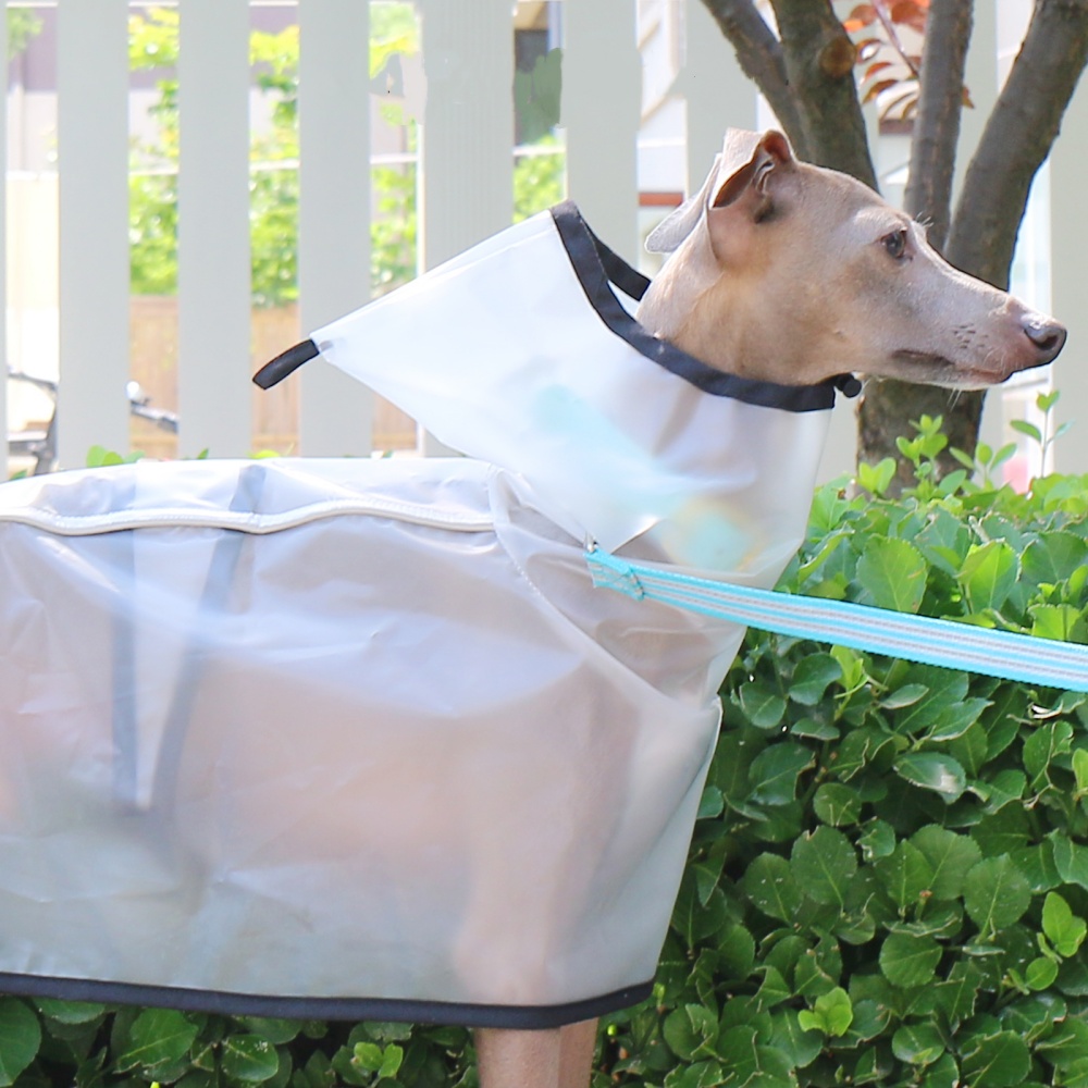 防水防雨防風腹部固定ケープイタリアングレーハウンド用透明軽量 - Dog Raincoat のレビューと価格