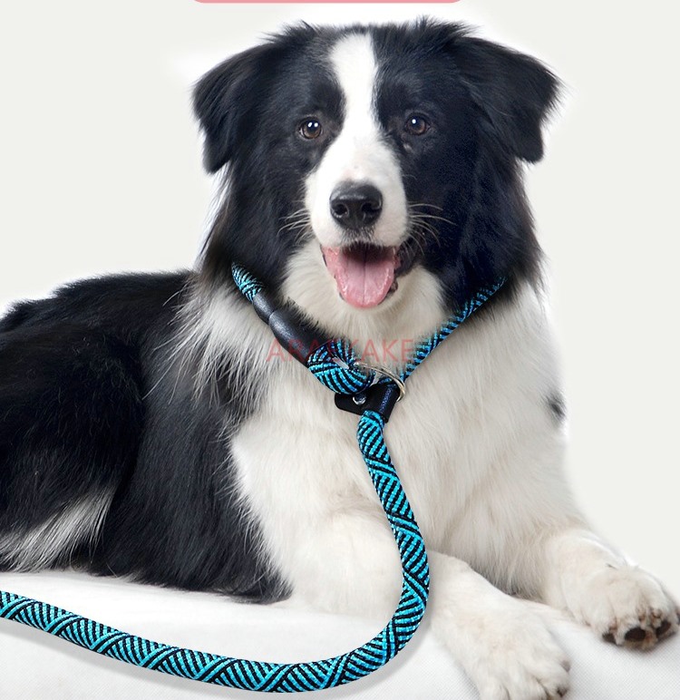Pロープ防爆犬用トレーニングロープ、小型犬、中型犬、大型犬用 - Pet Supplies Young のレビューと価格