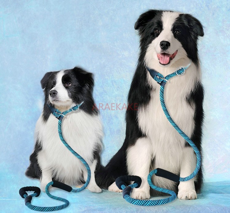 Pロープ防爆犬用トレーニングロープ、小型犬、中型犬、大型犬用 - Pet Supplies Young のレビューと価格
