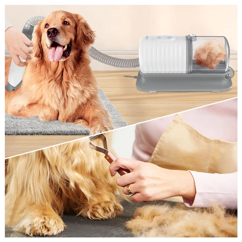 犬用バスブラシセット、ペット用バスグルーミング用品、ペットシ - Pet Supplies In Store のレビューと価格