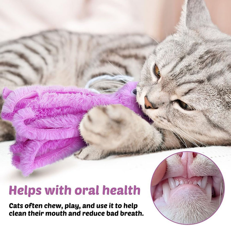 子猫・若猫用のかわいいタコ猫おもちゃ、噛む猫おもちゃ、ぬいぐ - Pet Supplies Young のレビューと価格