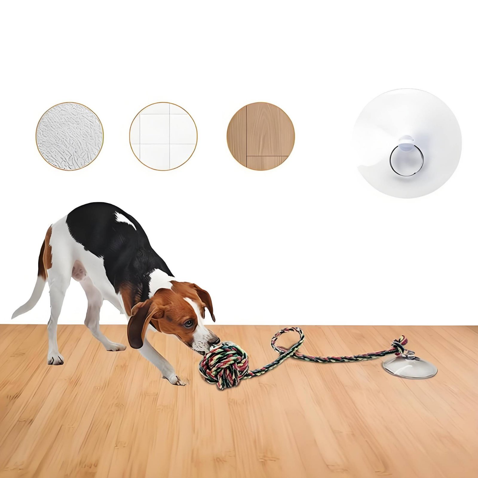 吸引ディスク犬用おもちゃ 噛みつきにくい床吸着犬用おもちゃ  - Pet Supplies Young のレビューと価格