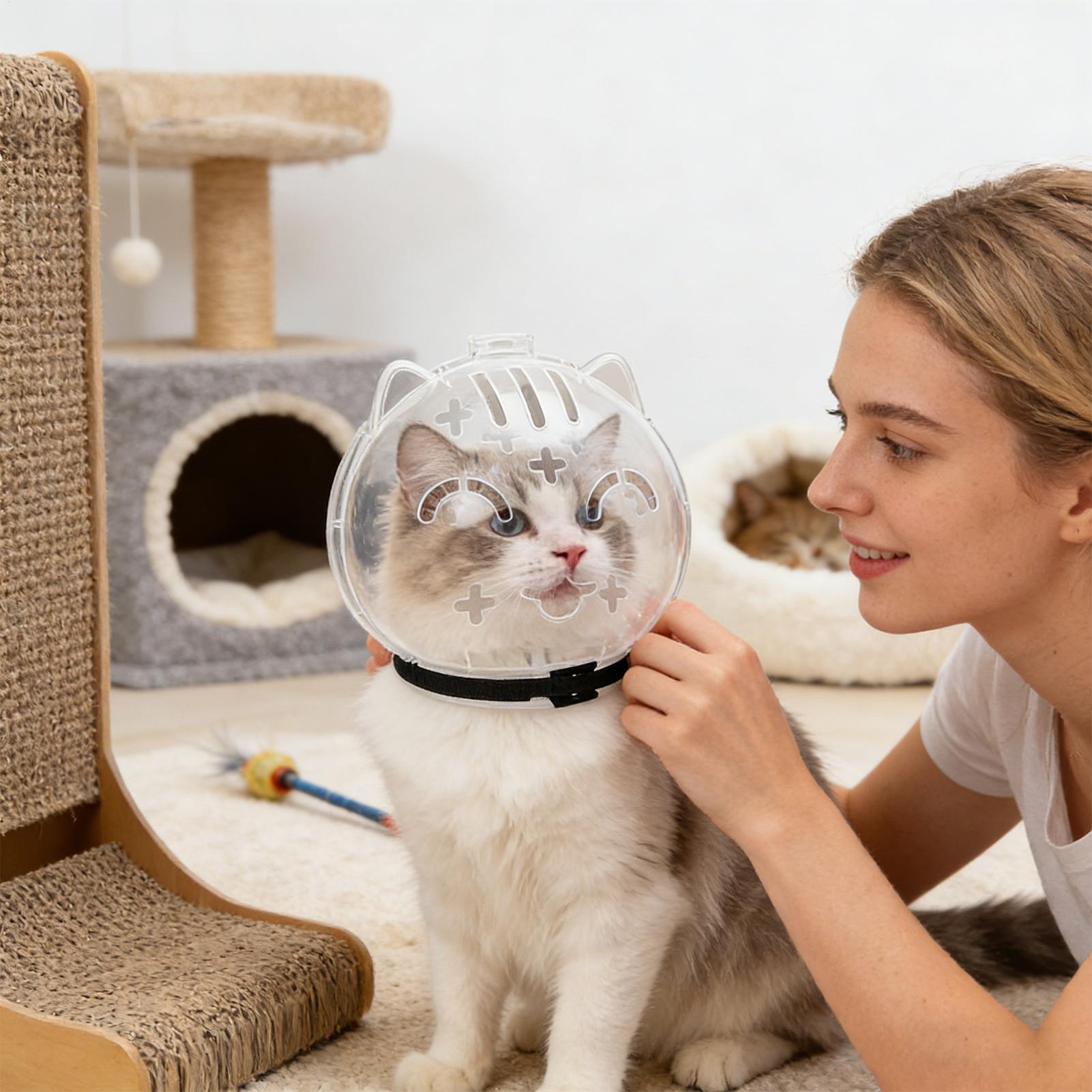 通気性のある猫用マズル 透明 調節可能 ペット用品 ガードE - Pet Supplies Young のレビューと価格