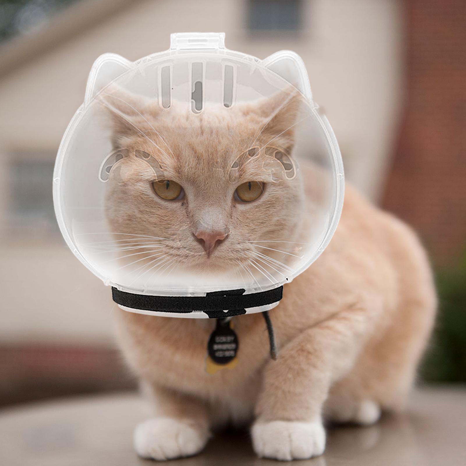 通気性のある猫用マズル 透明 調節可能 ペット用品 ガードE - Pet Supplies Young のレビューと価格