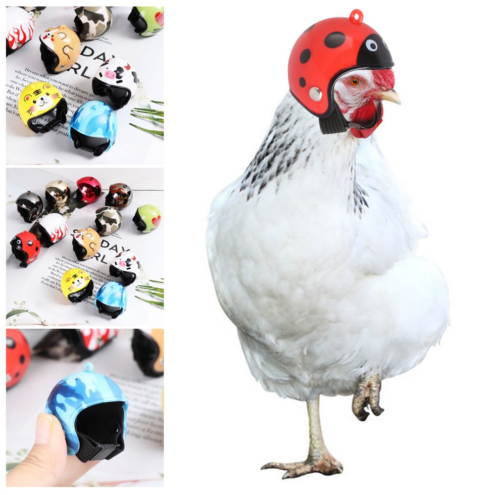 ABS製面白いペット用品ペット用保護ヘッドギア鳥用保護キャッ - Pet X Supplies & Tack のレビューと価格