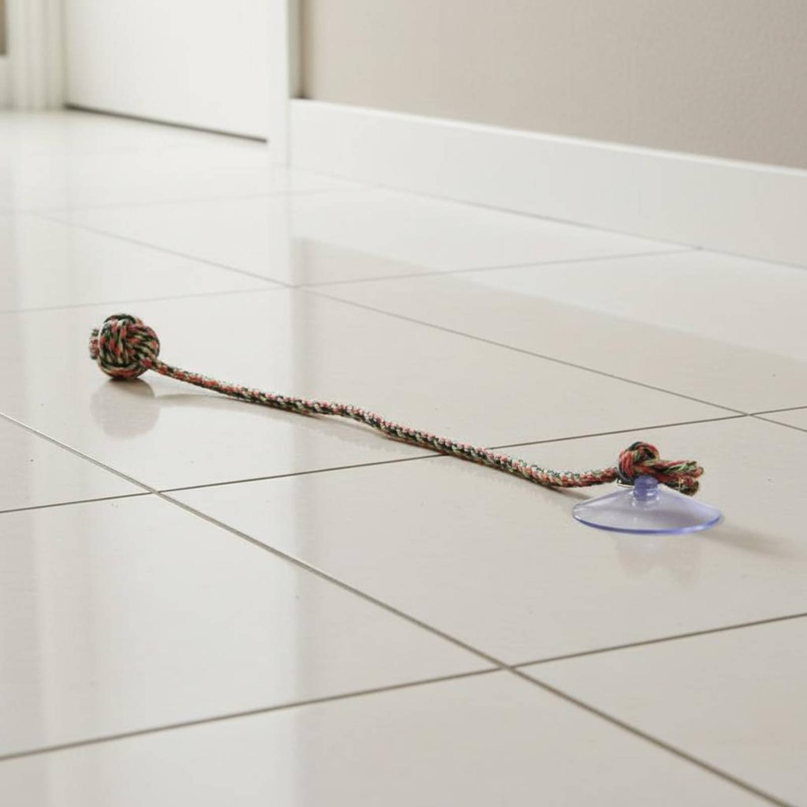 吸盤式犬用おもちゃ インタラクティブプレイ フロア吸盤式犬用 - Pet Supplies Young のレビューと価格