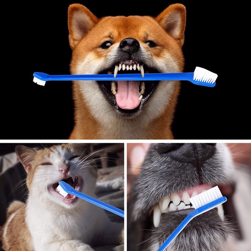 AB66-犬用口腔衛生ツール-60ヘッド犬用歯ブラシ、両端爪 - Dog Paw Cleaner のレビューと価格