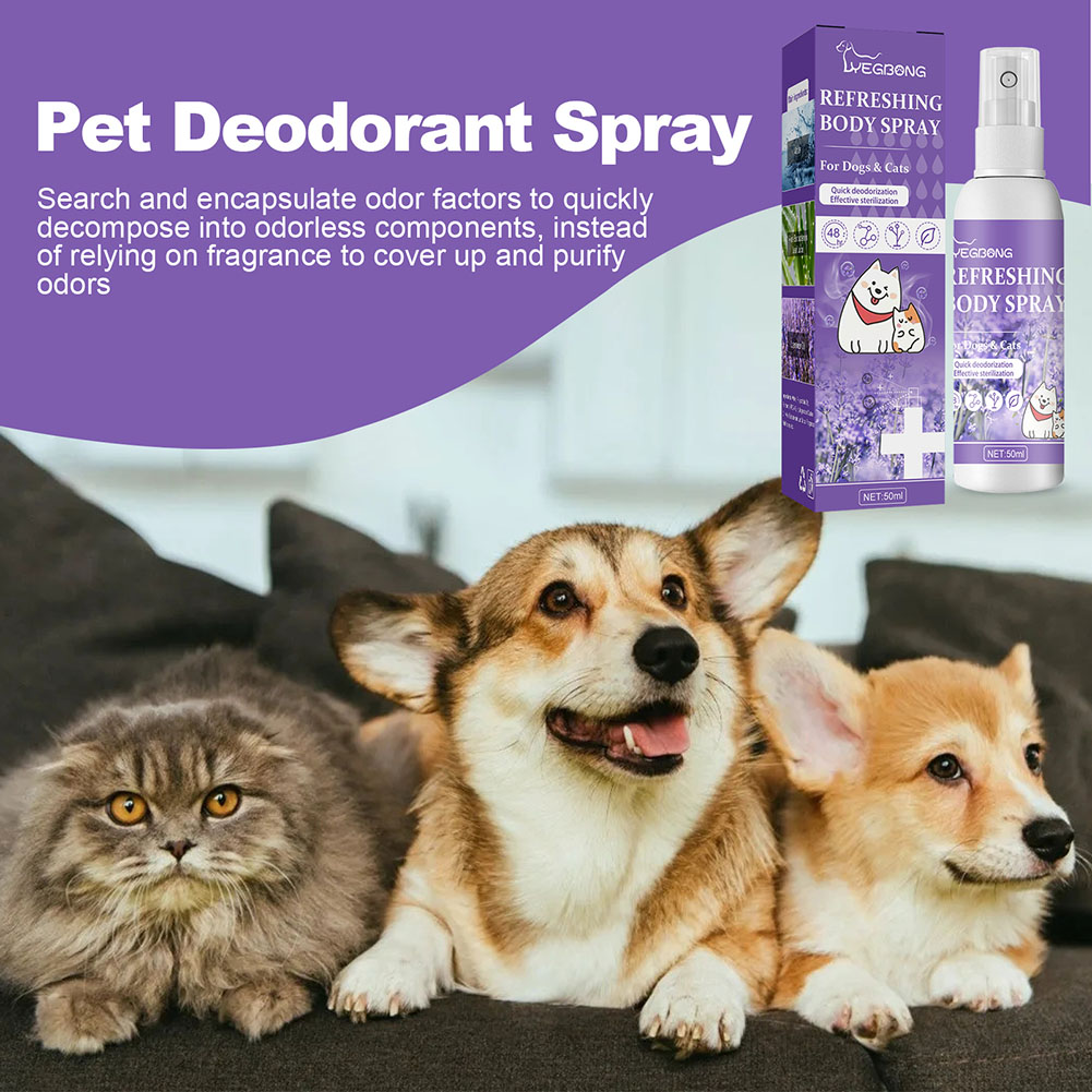 犬用消臭スプレー 便の清掃用消臭剤 悪臭除去 50ml 消臭 - Pet Supplies In Store のレビューと価格